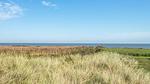 WaterView - Ferienhaus für 5 Personen (32 m²) in Rømø - Top-Hundeurlaub
