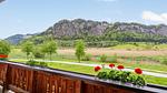 Aussicht vom Ferienhaus [Sommer] - Ferienwohnung für 12 Personen (180 m²) - Top-Hundeurlaub