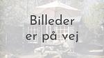 other - Ferienhaus für 6 Personen (82 m²) - Top-Hundeurlaub