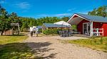 ExteriorSummer - Ferienwohnung im Ferienpark für 7 Personen (37 m²) in Otterlo - Top-Hundeurlaub
