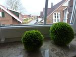 Meerblick - Grachtenperle - Top-Hundeurlaub