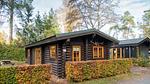 ExteriorSummer - Ferienhaus für 6 Personen (41 m²) in Otterlo - Top-Hundeurlaub