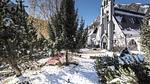ViewWinter - Ferienwohnung für 5 Personen (32 m²) in Saint-Lary - Top-Hundeurlaub