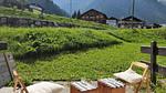 Untagged - Ferienwohnung für 6 Personen (26 m²) in Beaufort - Top-Hundeurlaub