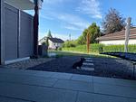 EigenArt - Top-Hundeurlaub