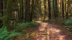 AreaSummer5KM - Ferienhaus für 5 Personen - Top-Hundeurlaub