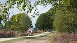 AreaSummer5KM - Ferienhaus für 5 Personen - Top-Hundeurlaub