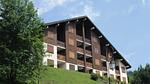 ExteriorSummer - Ferienwohnung für 6 Personen (37 m²) in Châtel - Top-Hundeurlaub