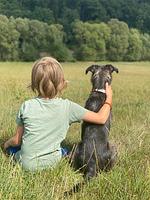 Ihre Auszeit im Waldecker Land - Für Hunde und Ihre Menschen-Mein Urlaub mit Hund – 
Natur, Entspannung & Abenteuer!  - Top-Hundeurlaub