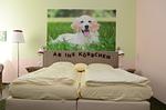 Ihre Auszeit im Waldecker Land - Für Hunde und Ihre Menschen-Mein Urlaub mit Hund – 
Natur, Entspannung & Abenteuer!  - Top-Hundeurlaub