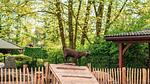 Untagged - Ferienhaus für 4 Personen (65 m²) - Top-Hundeurlaub