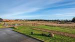 Outdoor - Ferienhaus für 7 Personen (82 m²) - Top-Hundeurlaub