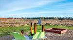 Outdoor - Ferienhaus für 7 Personen (82 m²) - Top-Hundeurlaub