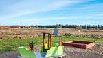 Outdoor - Ferienhaus für 7 Personen (82 m²) - Top-Hundeurlaub