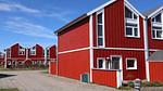 Outdoor - Ferienhaus für 7 Personen (82 m²) - Top-Hundeurlaub