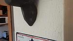 Untagged - Ferienwohnung für 5 Personen (28 m²) in Modane - Top-Hundeurlaub