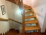 Seestern-11 - Seestern - Top-Hundeurlaub