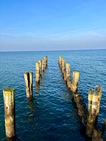 Walfisch - Top-Hundeurlaub