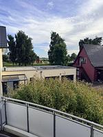 Meerblick - Hühnergott - Top-Hundeurlaub