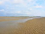 Landschaft - Ferienwohnung Austernfischer Ockholm - Top-Hundeurlaub