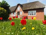Hauptansicht - Ferienhaus auf der kleinen Gaarde Ockholm - Top-Hundeurlaub