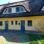 Reetdachhaus Malve 3 - Top-Hundeurlaub