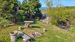 outside - Ferienhaus für 3 Personen (46 m²) in Samsø - Top-Hundeurlaub