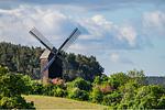 Landschaft - Ferienwohnung Thurbruch mit Sonnenterrasse, ruhig gelegen und perfekt für 4 Personen. - Top-Hundeurlaub
