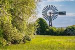 Landschaft - Ferienwohnung Thurbruch mit Sonnenterrasse, ruhig gelegen und perfekt für 4 Personen. - Top-Hundeurlaub