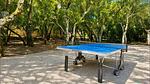 outside - Ferienhaus für 6 Personen (85 m²) - Top-Hundeurlaub