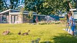 Untagged - Ferienhaus für 4 Personen (65 m²) - Top-Hundeurlaub