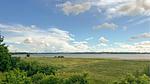 view-from-room - Ferienhaus für 6 Personen (93 m²) - Top-Hundeurlaub