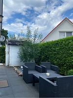 Fassade / Eingang - FH Harmonie - Top-Hundeurlaub