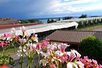 Nachbarschaft - Ferienwohnung Holiday Home 10 - Top-Hundeurlaub