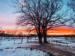 Winterlandschaft bei der Villa Hjortlund Ferienhaus in Tyringe Skåne - Hus Hjortlund - Top-Hundeurlaub
