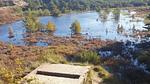 WaterView - Ferienhaus für 6 Personen (63 m²) in Rømø - Top-Hundeurlaub