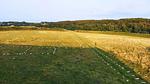 Untagged - Ferienhaus für 7 Personen (79 m²) in Hirtshals - Top-Hundeurlaub