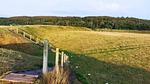 Untagged - Ferienhaus für 7 Personen (79 m²) in Hirtshals - Top-Hundeurlaub