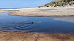 WaterView - Ferienhaus für 7 Personen (79 m²) in Hirtshals - Top-Hundeurlaub