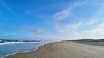 WaterView - Ferienhaus für 7 Personen (79 m²) in Hirtshals - Top-Hundeurlaub