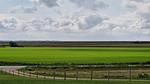 Untagged - Ferienhaus für 5 Personen (54 m²) in Skærbæk - Top-Hundeurlaub