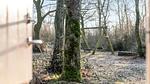 Indoor - Ferienhaus für 5 Personen (54 m²) in Skærbæk - Top-Hundeurlaub