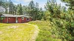 Outdoor - Ferienhaus für 5 Personen (63 m²) in Rømø - Top-Hundeurlaub