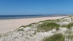 Untagged - Ferienhaus für 5 Personen (63 m²) in Rømø - Top-Hundeurlaub