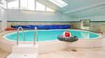 Pool - Ferienhaus für 9 Personen (126 m²) in Ørsted - Top-Hundeurlaub