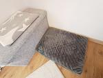 Dekoratives Detail - FeWo Merle - Top-Hundeurlaub