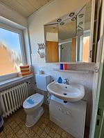 Badezimmer - Haus Flechtner Wohnung 1 - Top-Hundeurlaub
