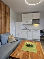 Wohnzimmer - Haus Flechtner Wohnung 4 - Top-Hundeurlaub