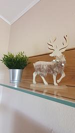 Dekoratives Detail - Haus 131 - Top-Hundeurlaub