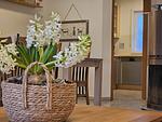 Ferienhaus Ankerplatz im Bootshaus - Top-Hundeurlaub